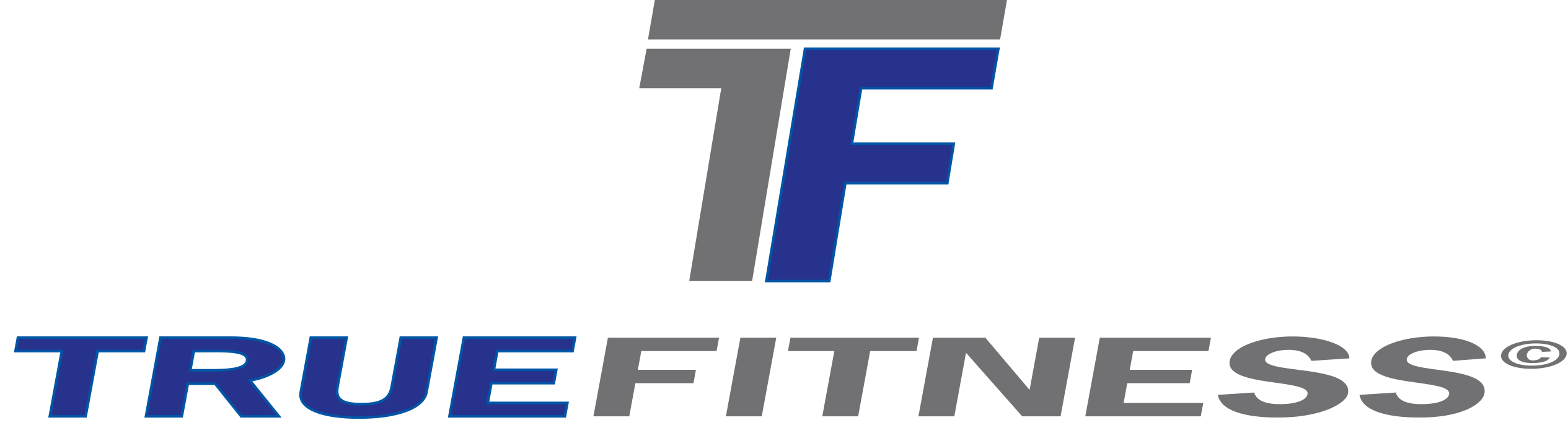 TRUE FITNESS